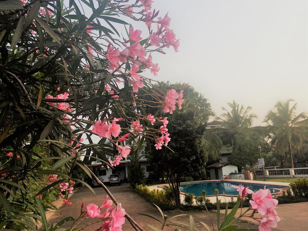 Gr Stays - Duplex 3Bhk Villa With Pool Arpora I Baga Beach 5 Mins Exterior foto
